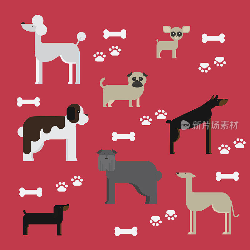 Flat dog characters set, cartoon pet animal collection